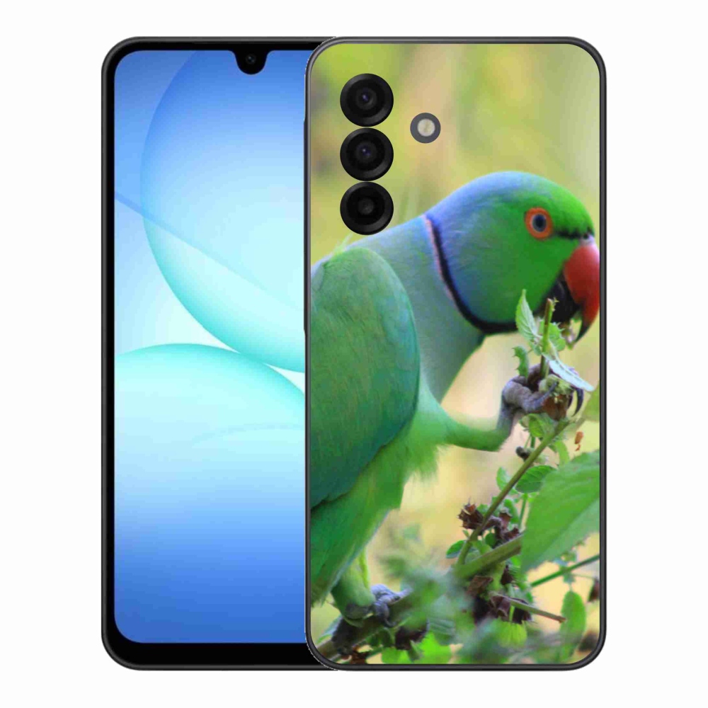 Zselés borítás mmCase Samsung Galaxy A17 4G/5G - papagáj alexandr