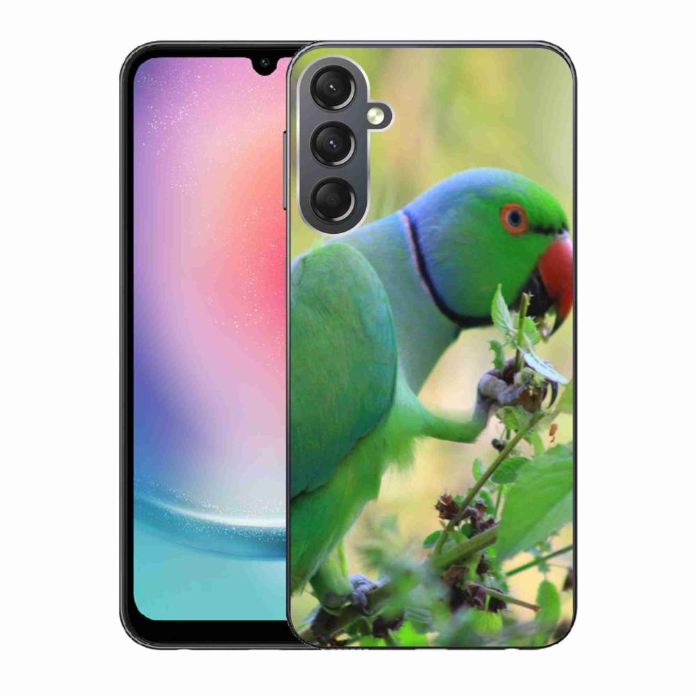 Gél borítás mmCase Samsung Galaxy A24 készülékhez - papagáj alexandr