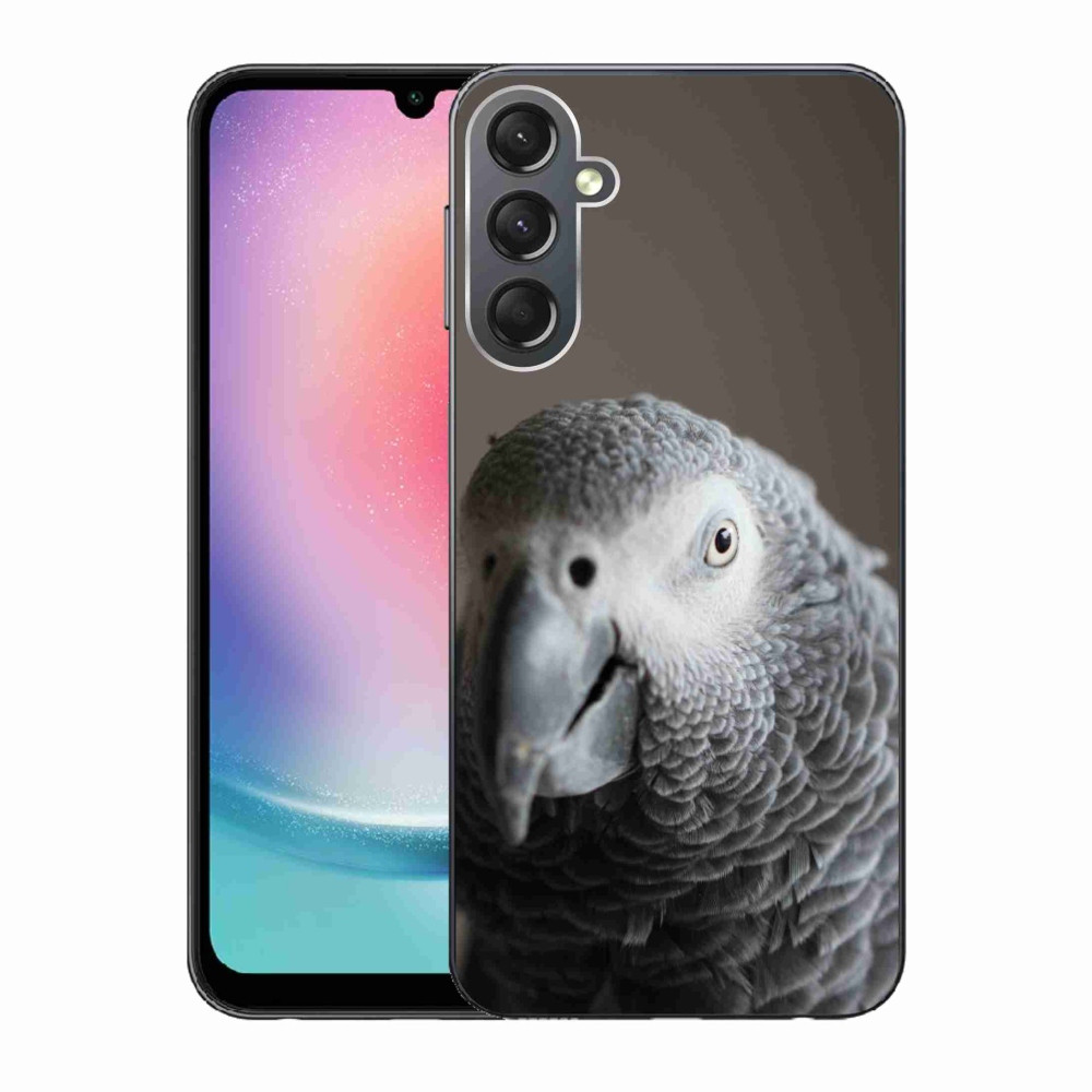 Zselés borítás mmCase Samsung Galaxy A24 készülékhez - papagáj jacko 2