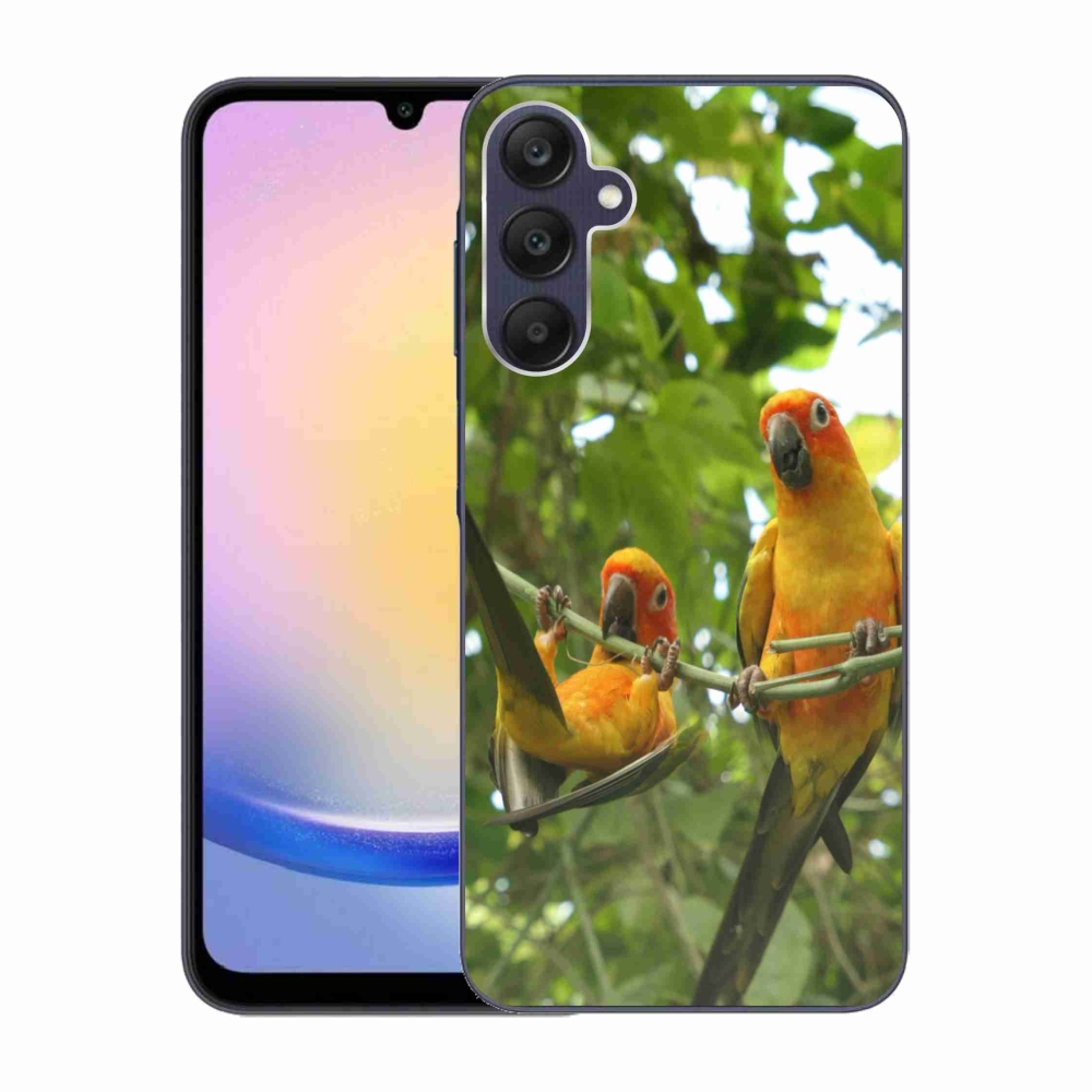 Gél borítás mmCase Samsung Galaxy A25 5G - papagájok aratingy