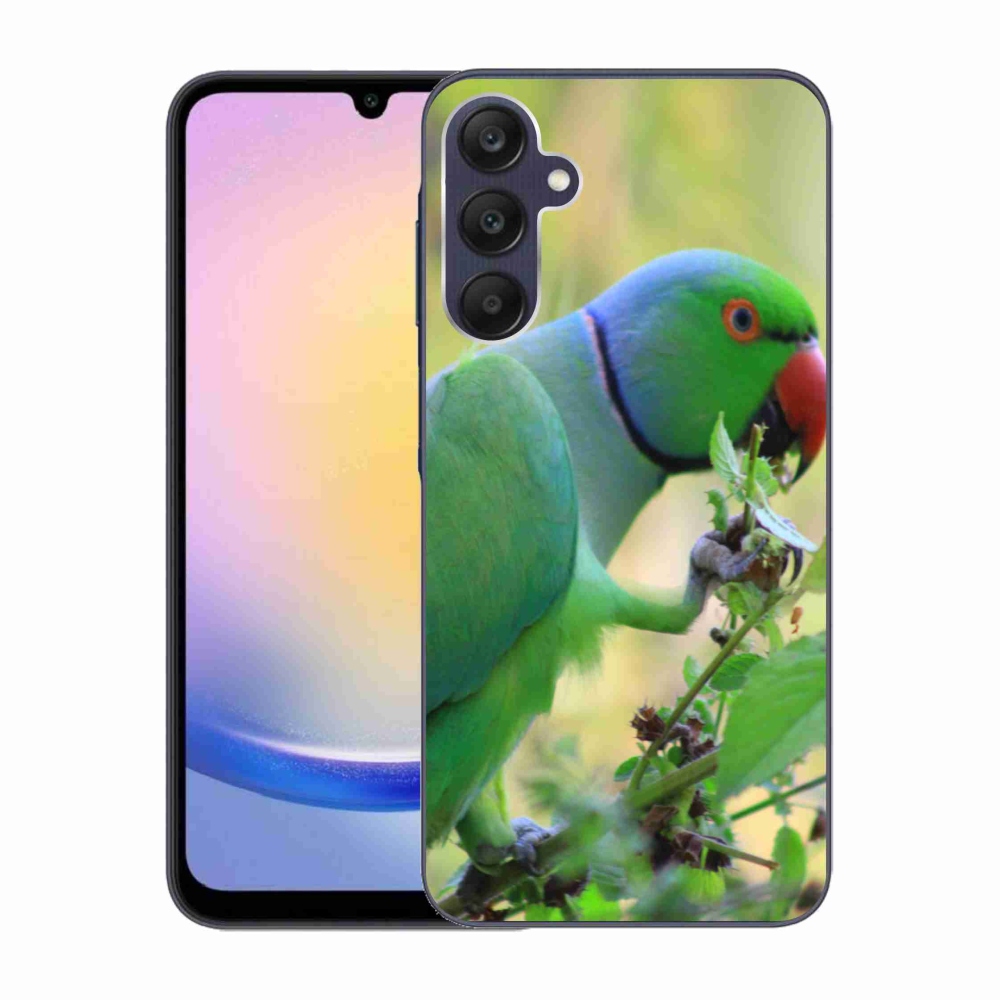 Zselés borítás mmCase Samsung Galaxy A25 5G - papagáj alexandr