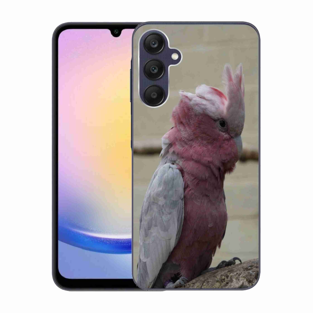 Gél védőhuzat mmCase Samsung Galaxy A25 5G - papagáj kakadu rózsaszínű