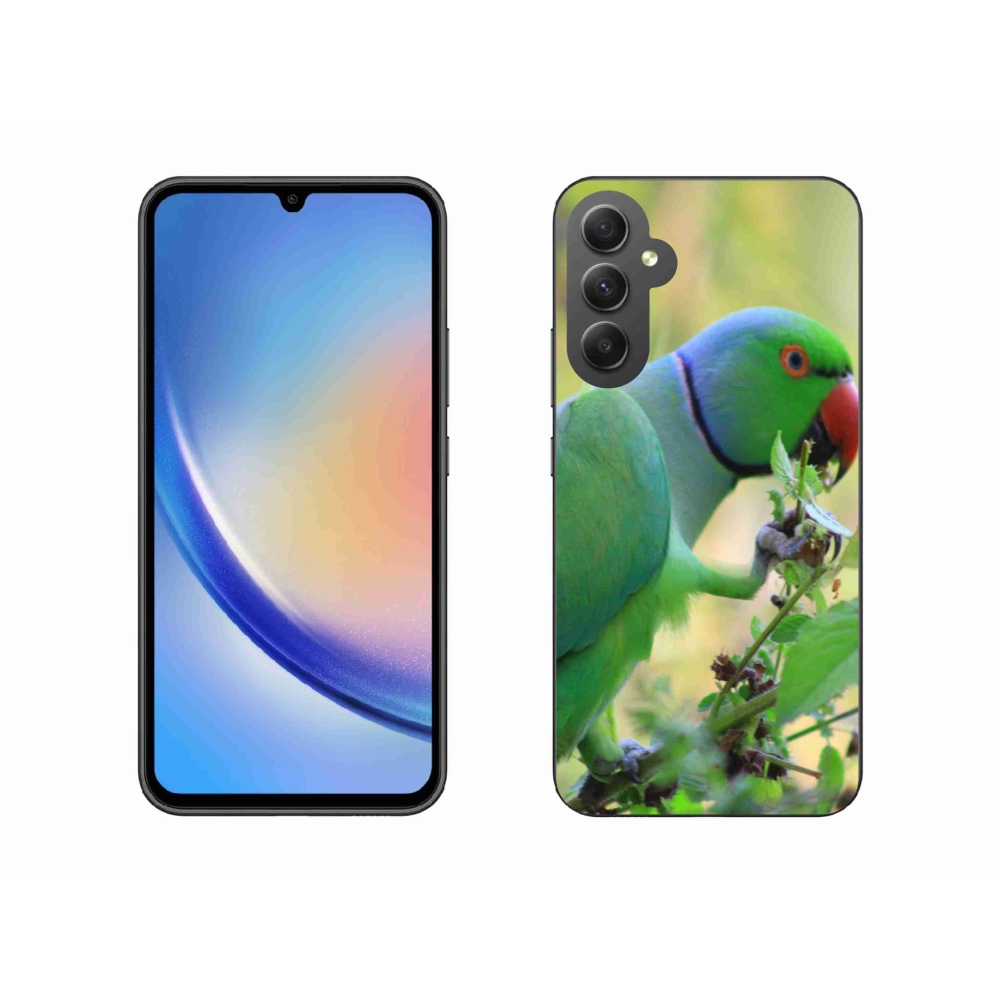 Zselés borítás mmCase Samsung Galaxy A34 5G - papagáj alexandr