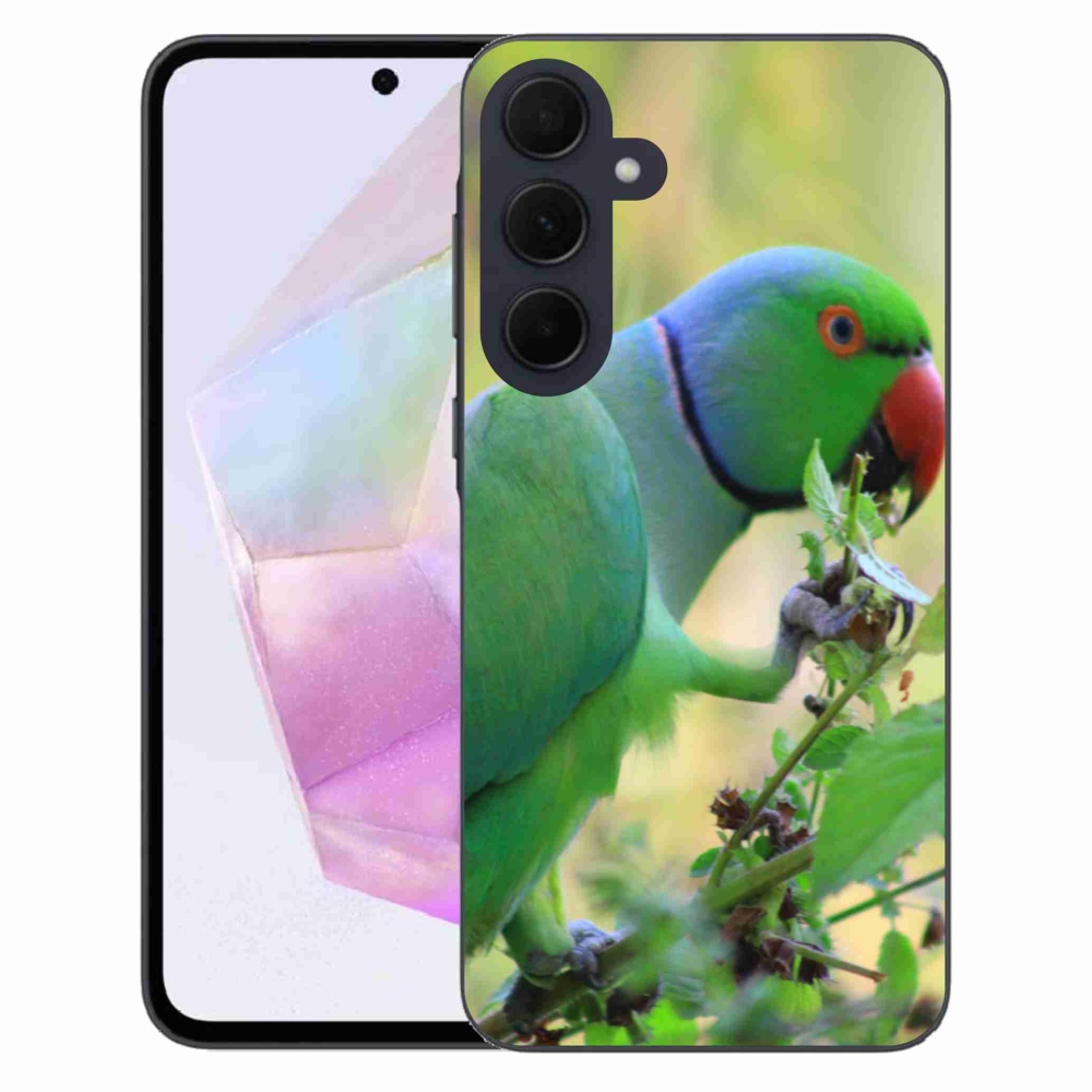 Zselés borítás mmCase Samsung Galaxy A35 5G - papagáj alexandr