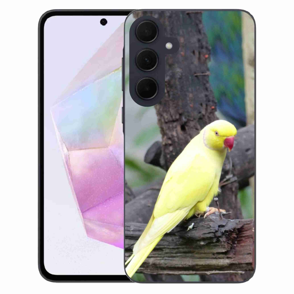 Zselés borítás mmCase Samsung Galaxy A35 5G - papagáj alexander sárga