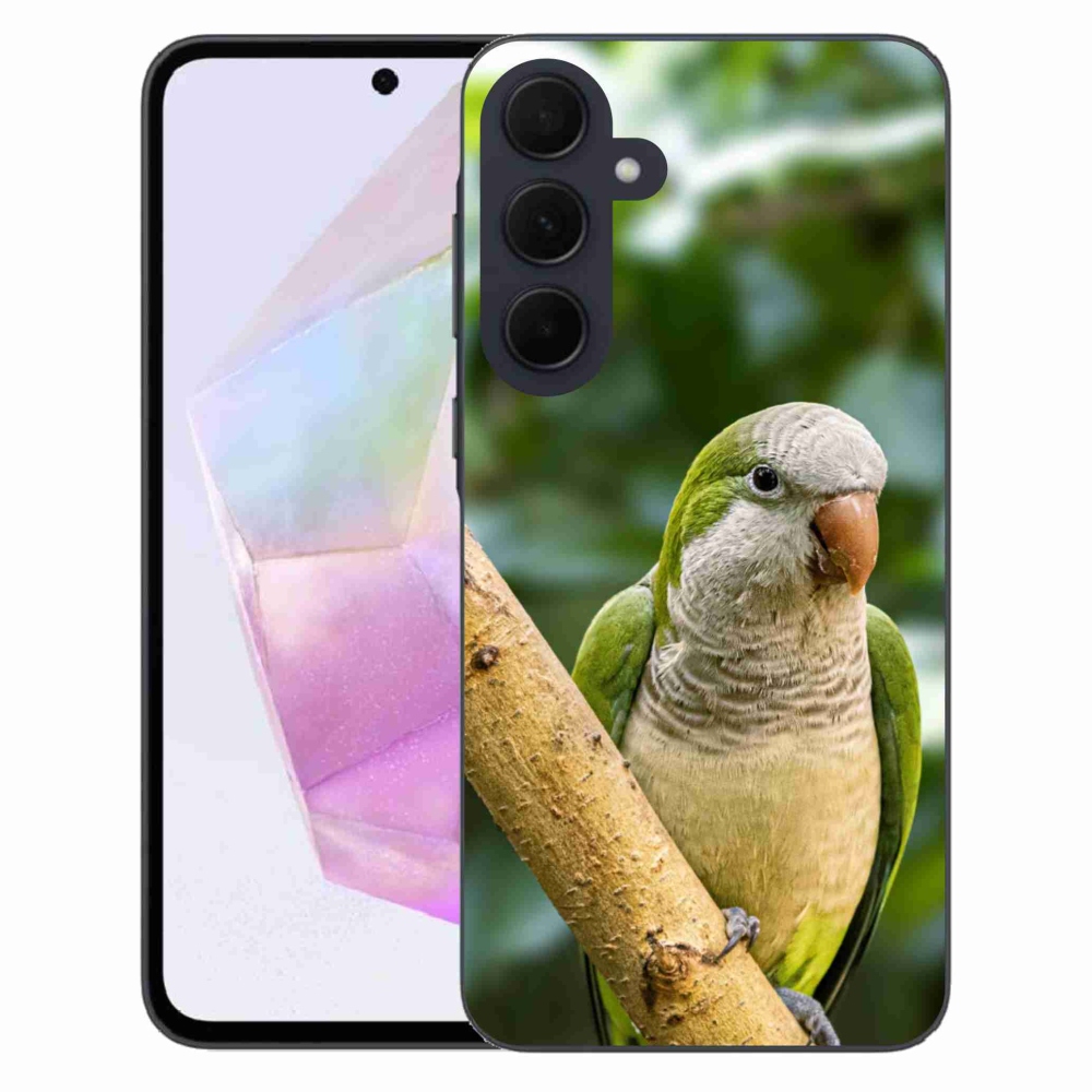Zselés borítás mmCase Samsung Galaxy A35 5G - papagáj