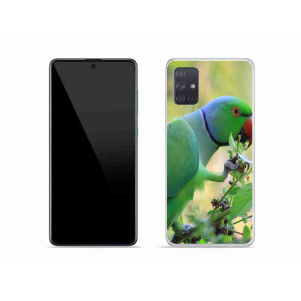 Gél borítás mmCase Samsung Galaxy A51 készülékhez - papagáj alexandr