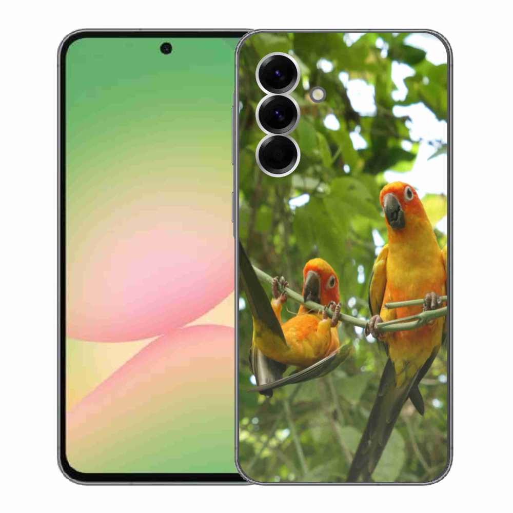 Gél borítás mmCase Samsung Galaxy A56 5G - papagájok aratingy