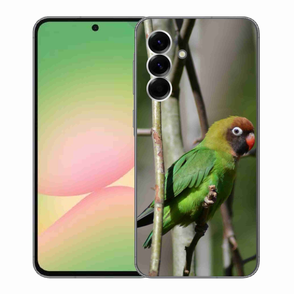 Gél borítás mmCase Samsung Galaxy A56 5G - papagáj agapornis