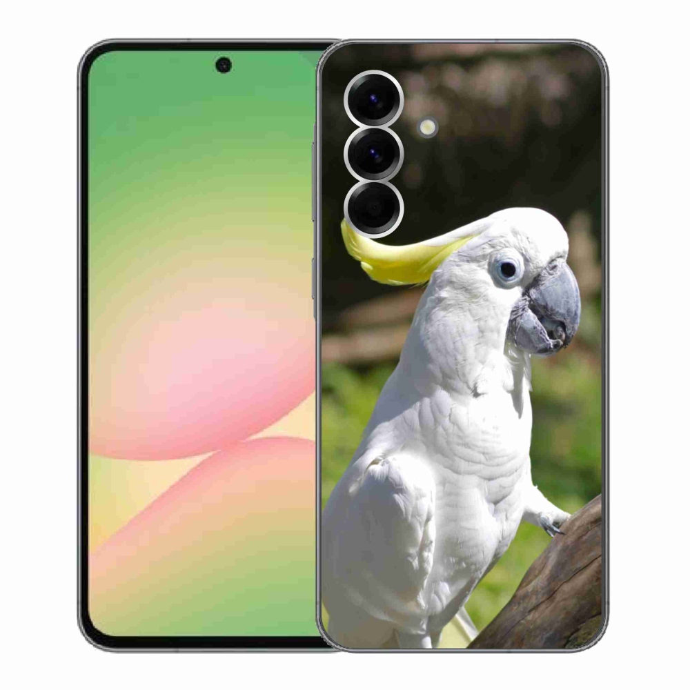 Gél borítás mmCase Samsung Galaxy A56 5G - papagáj kakadu 2