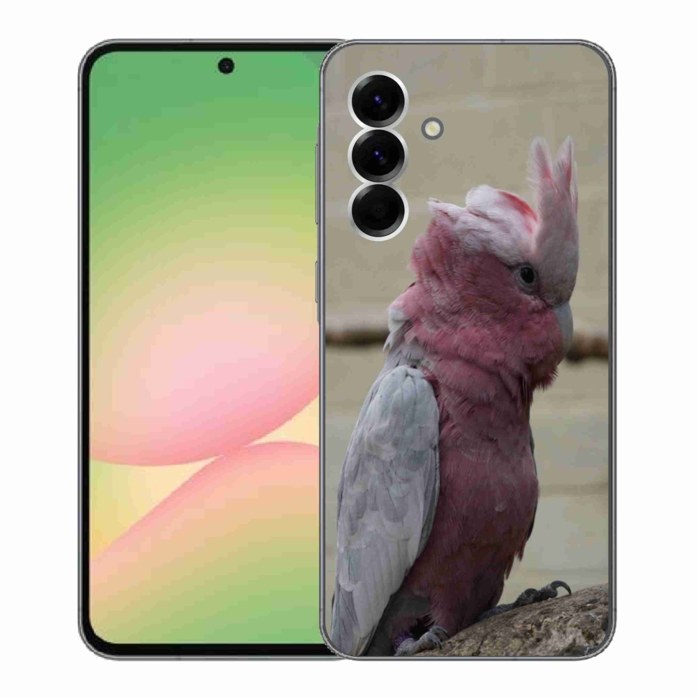 Gél védőhuzat mmCase Samsung Galaxy A56 5G - papagáj kakadu rózsaszínű