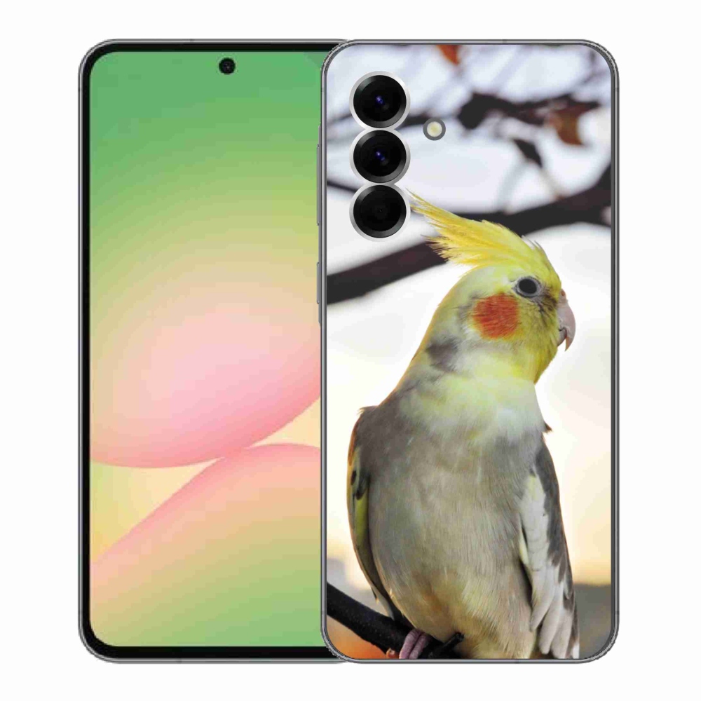 Gél borítás mmCase Samsung Galaxy A56 5G - papagáj korela