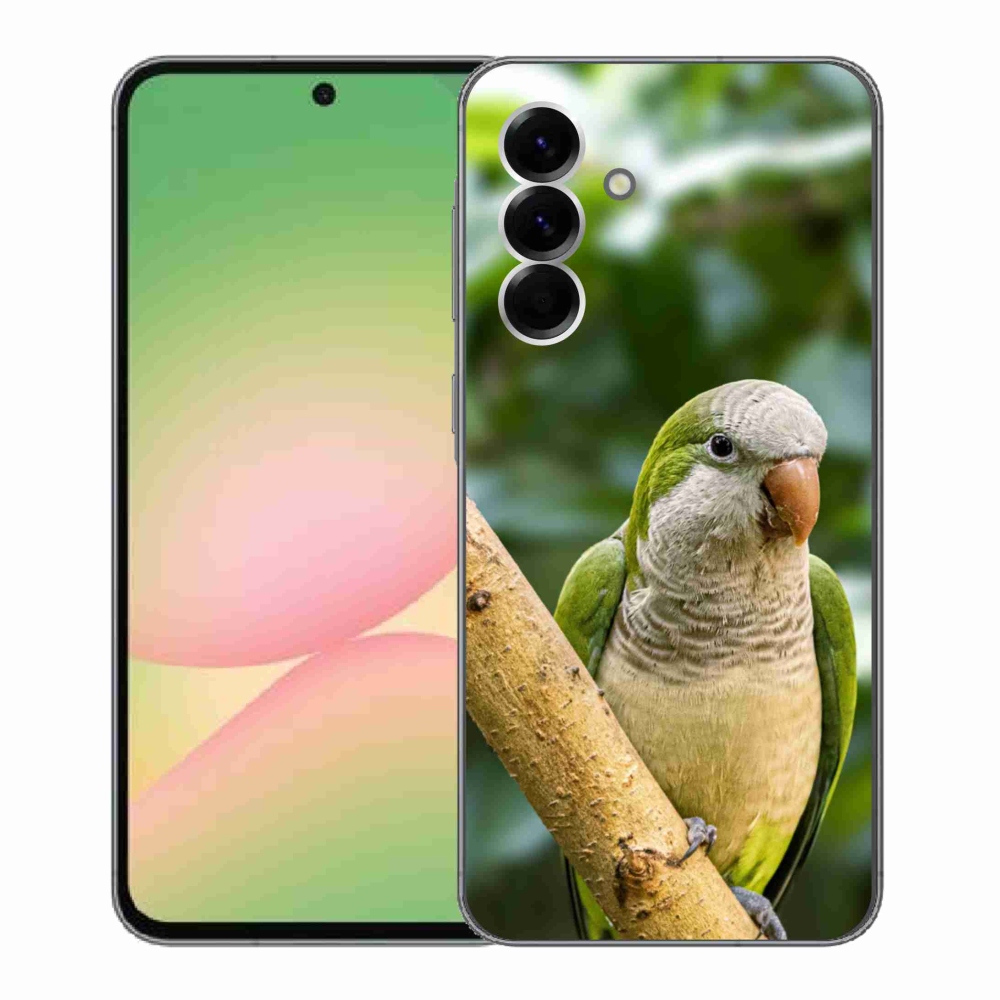 Gél védőhuzat mmCase Samsung Galaxy A56 5G - papagáj