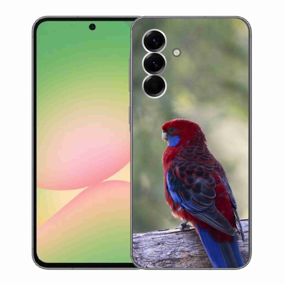 Zselés borítás mmCase Samsung Galaxy A56 5G - papagáj rosela