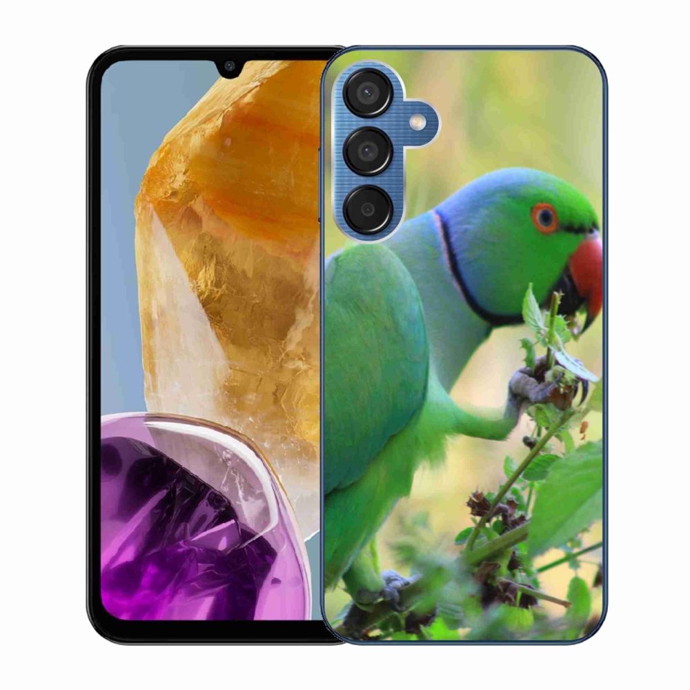 Zselés borítás mmCase Samsung Galaxy M15 5G - papagáj alexandr