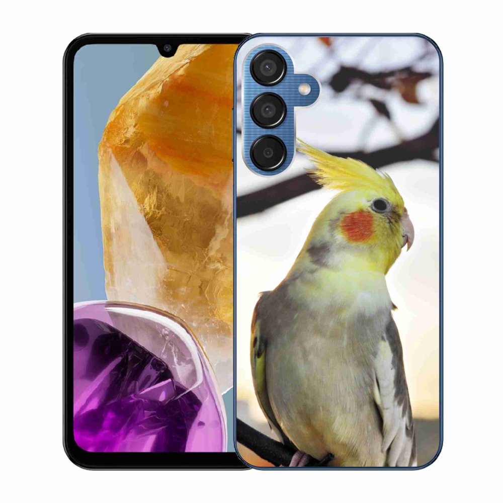 Zselés borítás mmCase Samsung Galaxy M15 5G - papagáj korela
