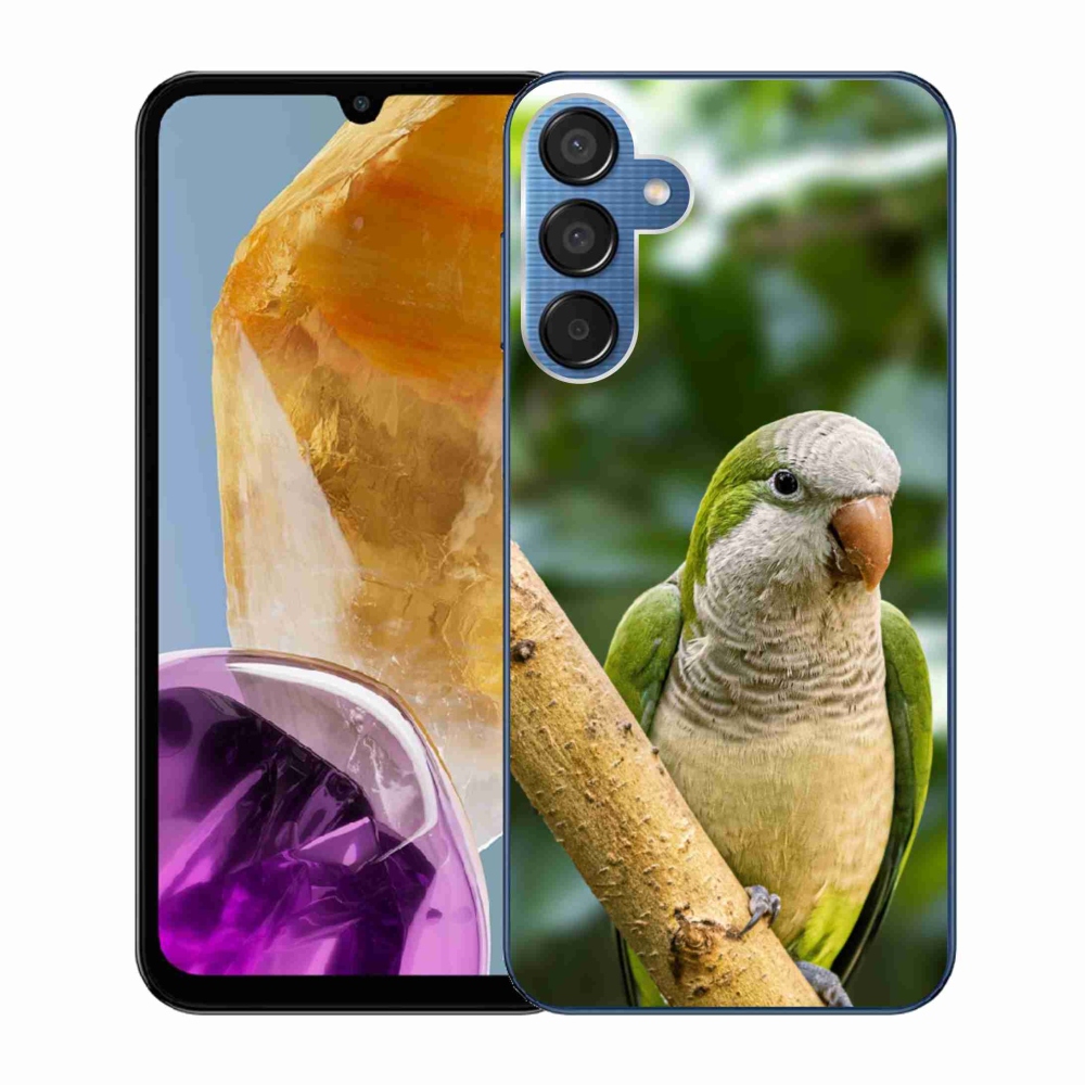 Zselés borítás mmCase Samsung Galaxy M15 5G - papagájhoz