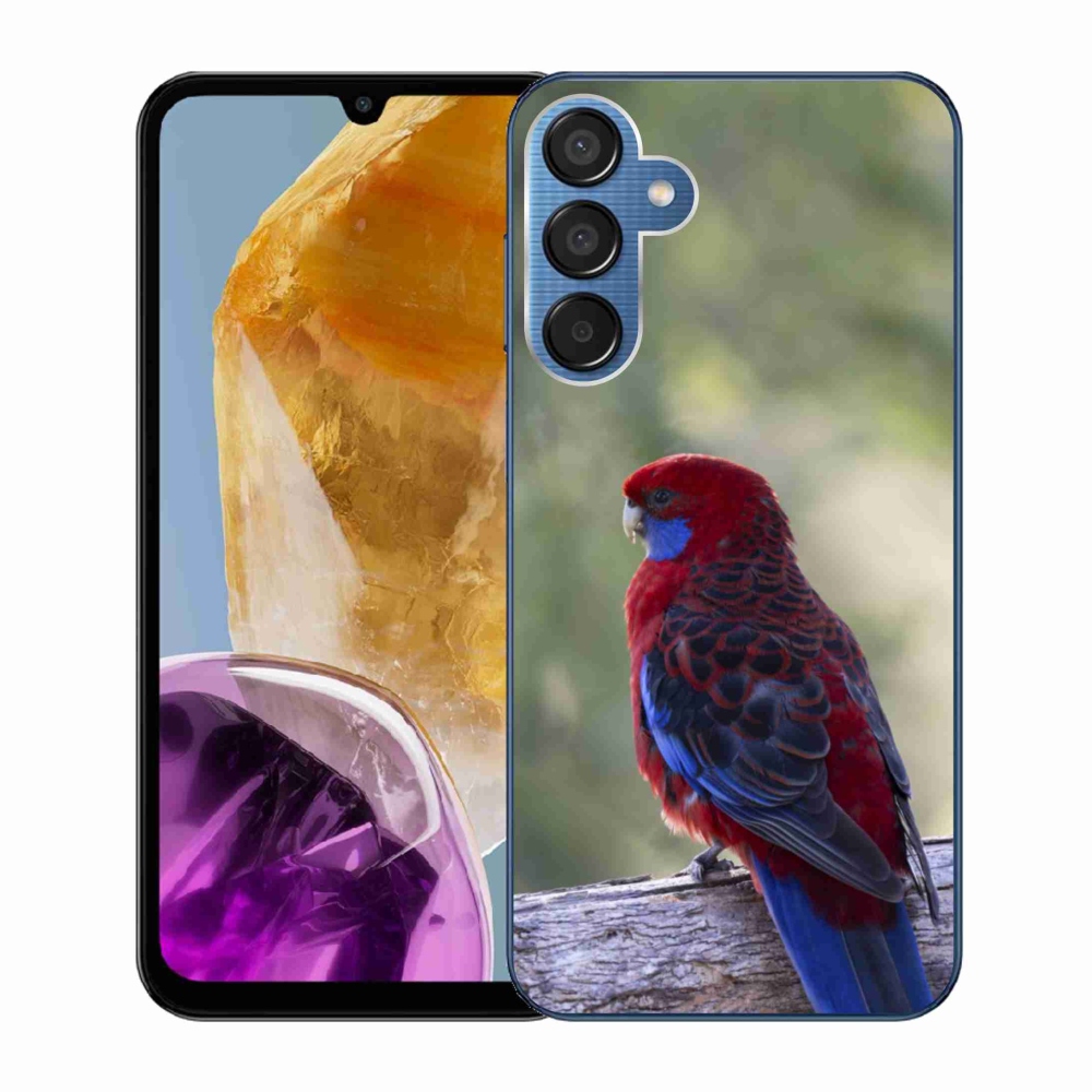 Zselés borítás mmCase Samsung Galaxy M15 5G - papagáj rosela