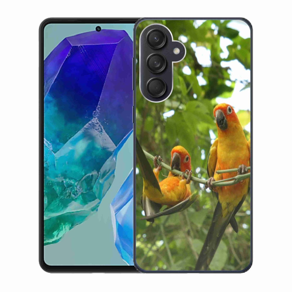 Gél borítás mmCase Samsung Galaxy M55 5G - papagájok aratingy