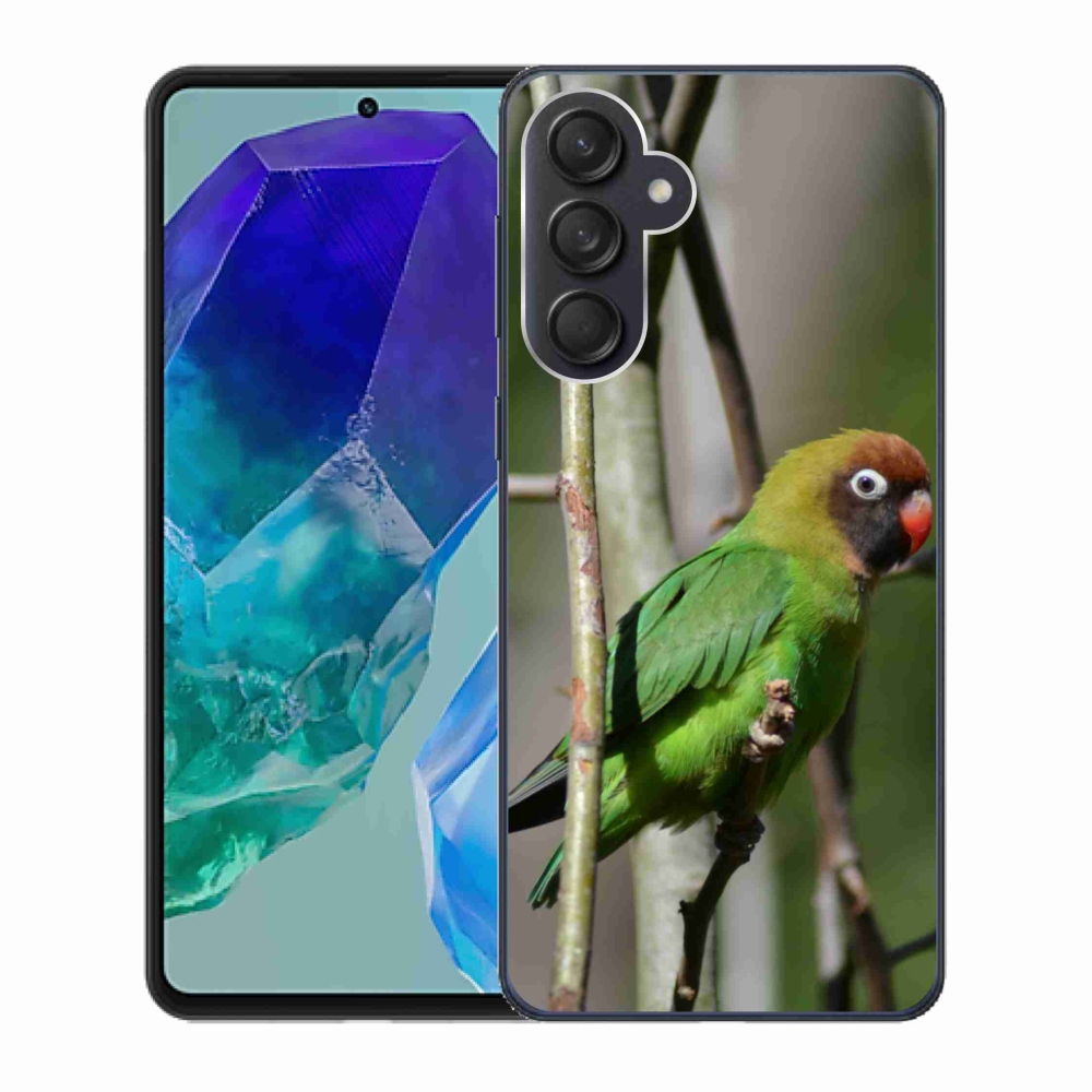 Gél borítás mmCase Samsung Galaxy M55 5G - papagáj agapornis