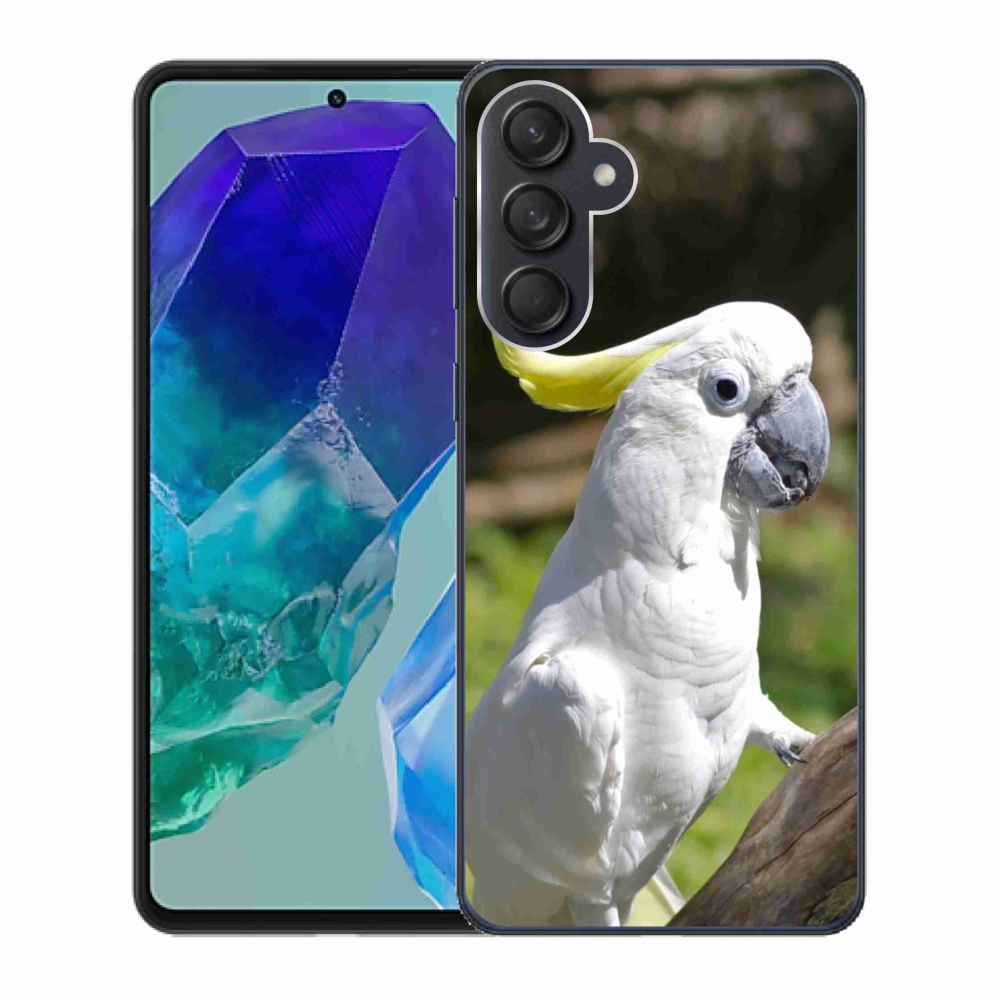 Gél borítás mmCase Samsung Galaxy M55 5G - papagáj kakadu 2