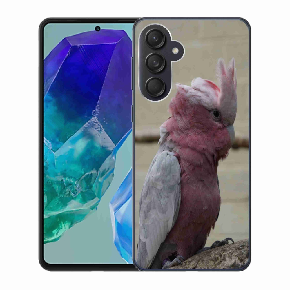 Gél védőhuzat mmCase Samsung Galaxy M55 5G - papagáj kakadu rózsaszínű