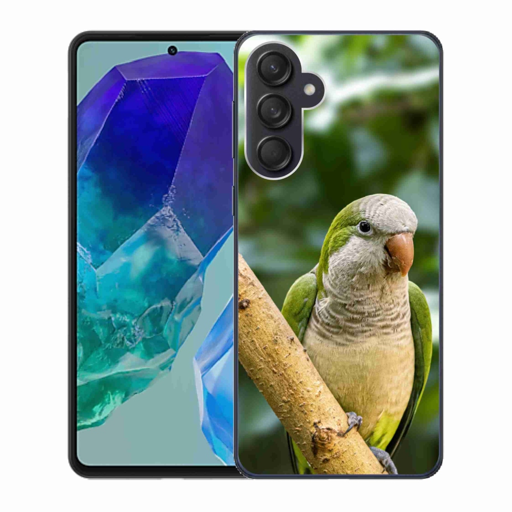 Zselés borítás mmCase Samsung Galaxy M55 5G - papagájhoz