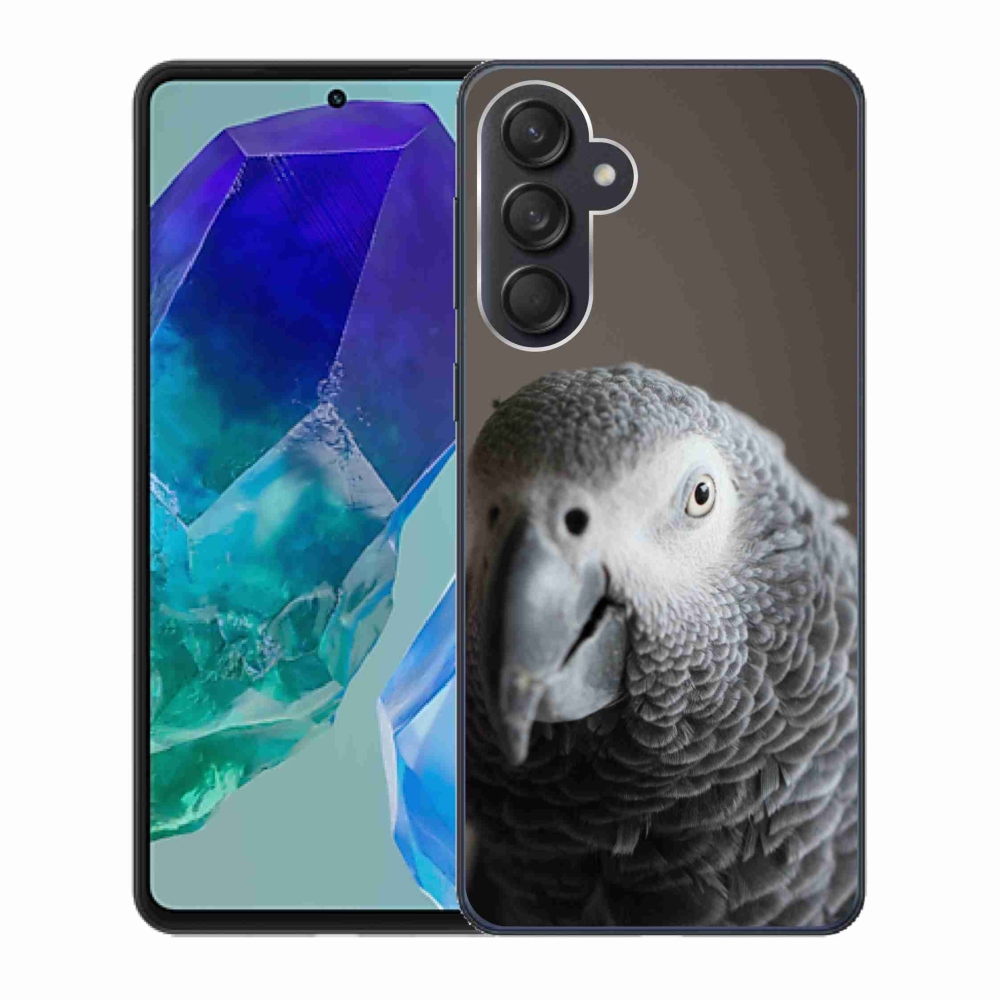 Zselés borítás mmCase Samsung Galaxy M55 5G - parrot jacco 2