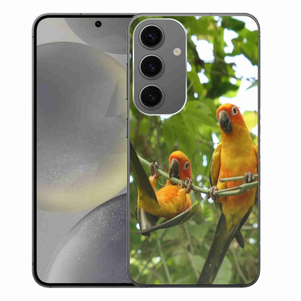 Gél borítás mmCase Samsung Galaxy S24+ készülékhez - papagájok aratingy