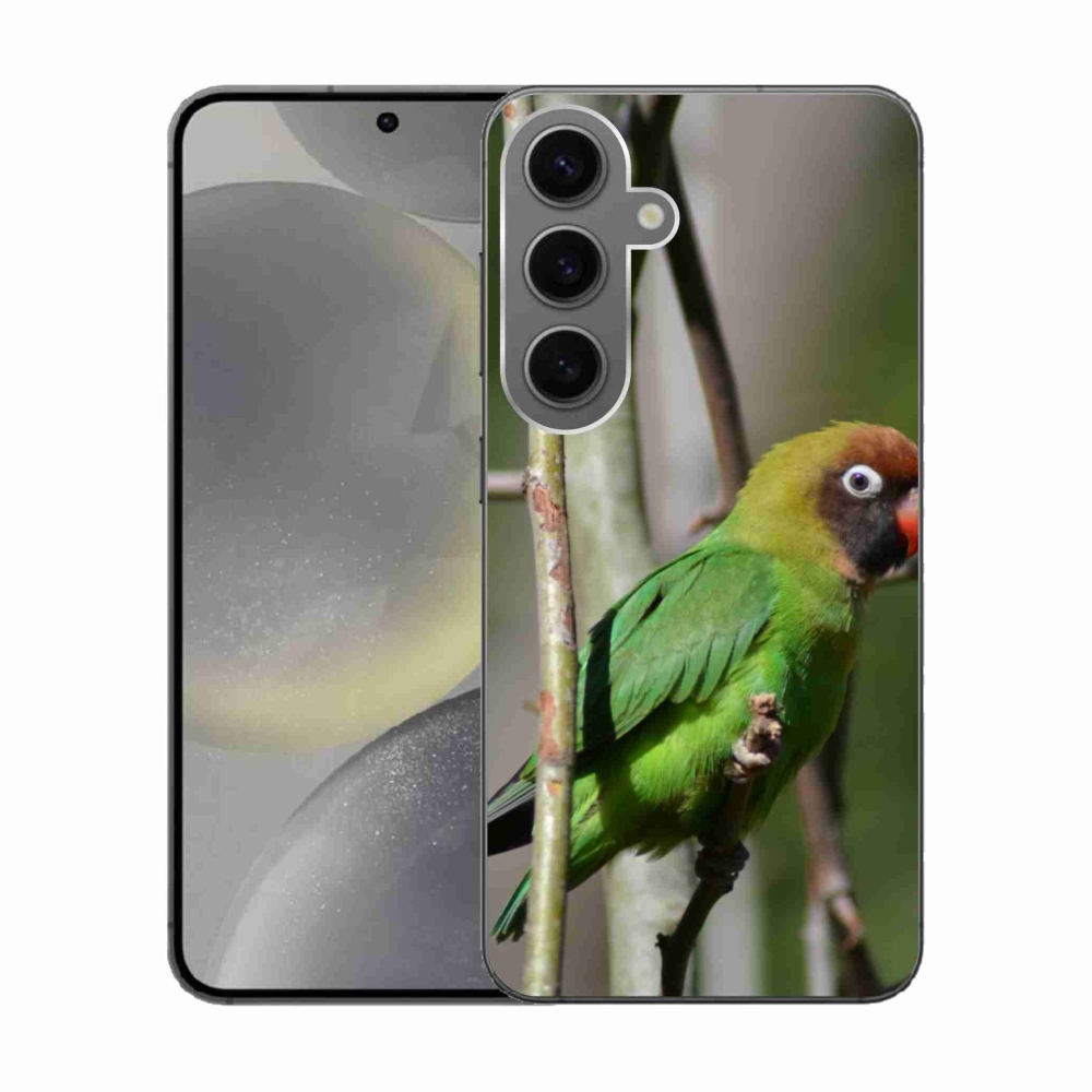 Gél borítás mmCase Samsung Galaxy S24 készülékhez - papagáj agapornis