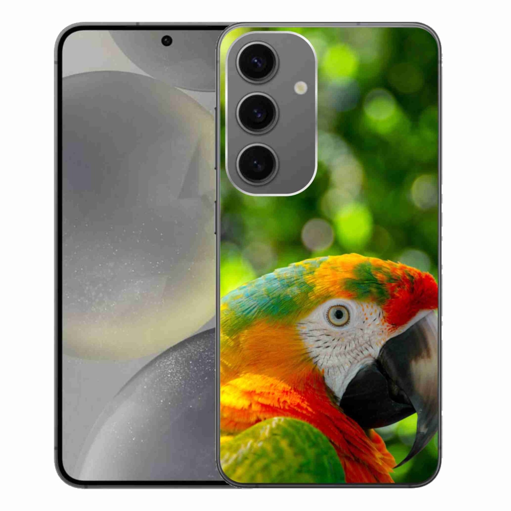 Gél borítás mmCase Samsung Galaxy S24+ készülékhez - papagáj ara 3