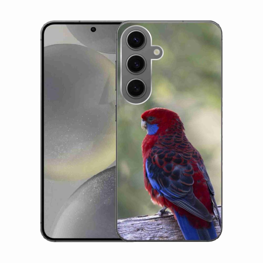 Zselés borítás mmCase Samsung Galaxy S24 készülékhez - papagáj rosela