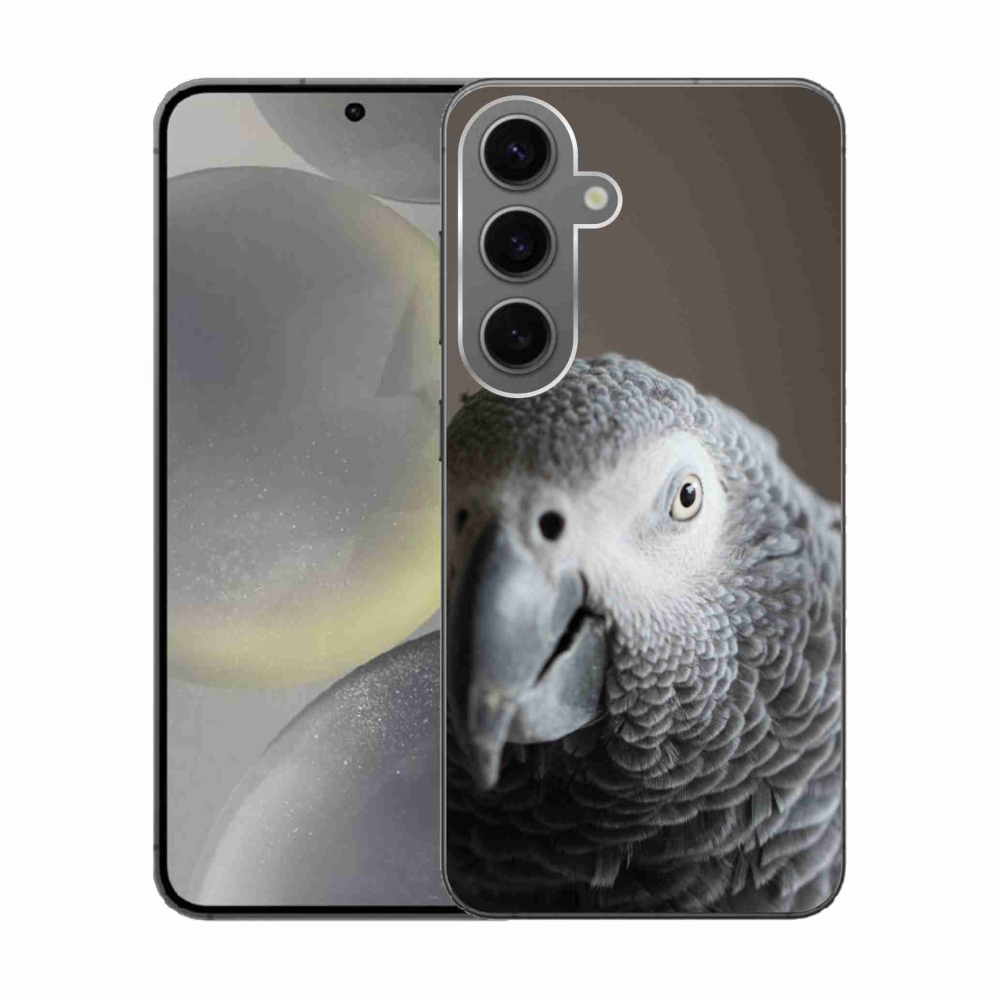 Zselés borítás mmCase Samsung Galaxy S24 készülékhez - papagáj jacko 2