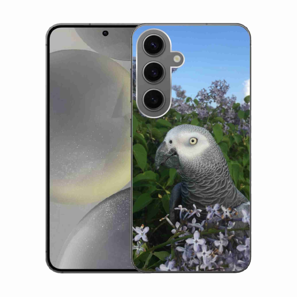 Zselés borítás mmCase Samsung Galaxy S24 készülékhez - papagáj jacko