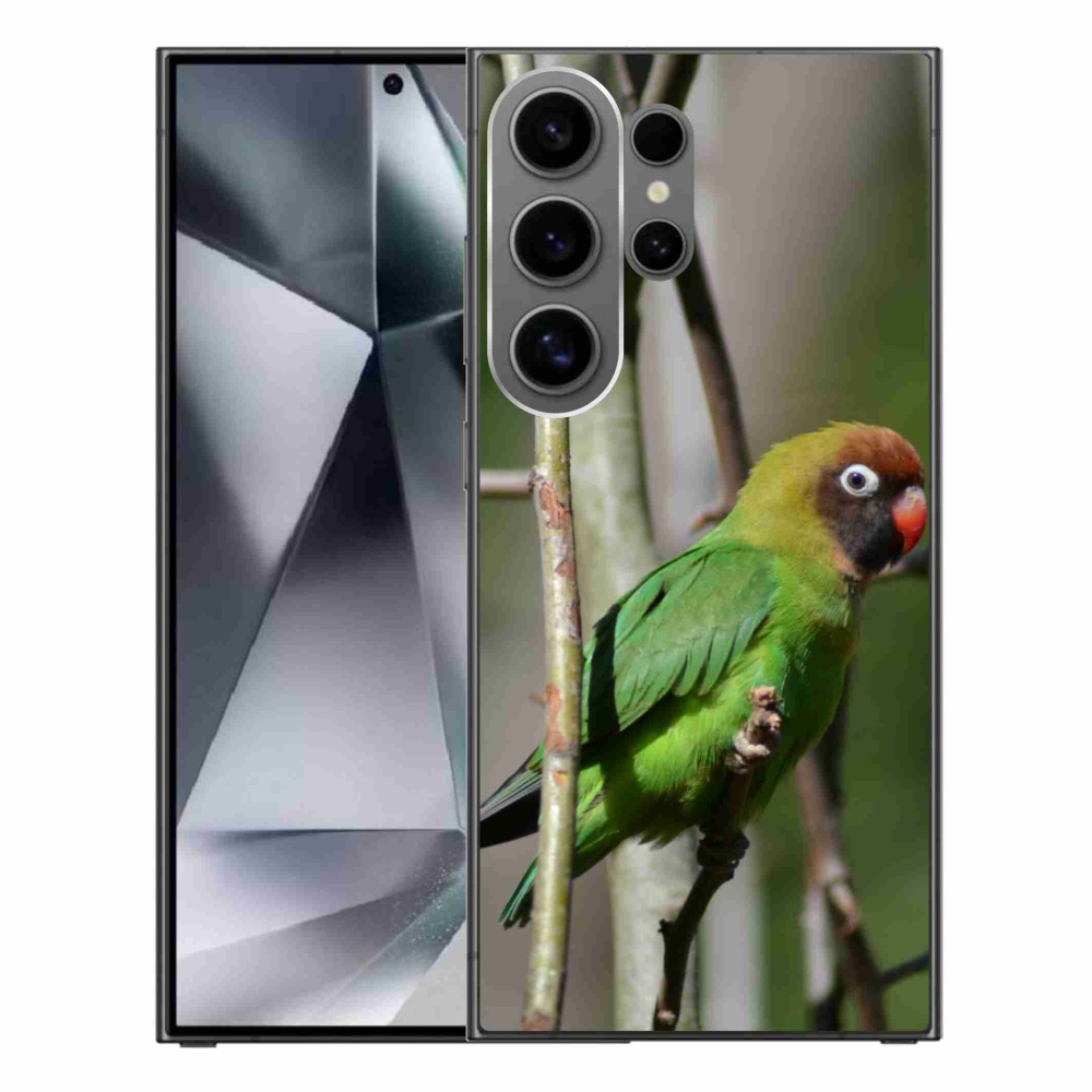 Gél borítás mmCase Samsung Galaxy S24 Ultra - papagáj agapornis
