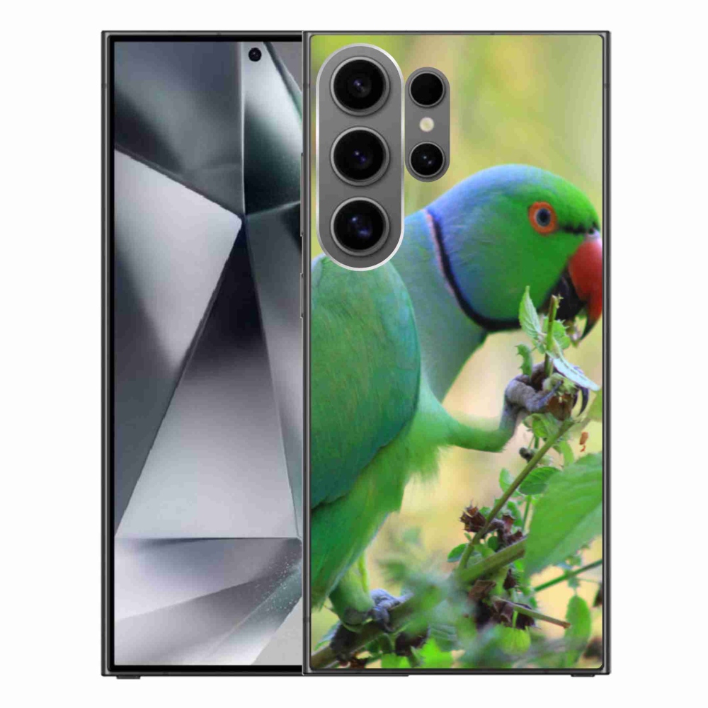 Gél borítás mmCase Samsung Galaxy S24 Ultra készülékhez - papagáj alexandr