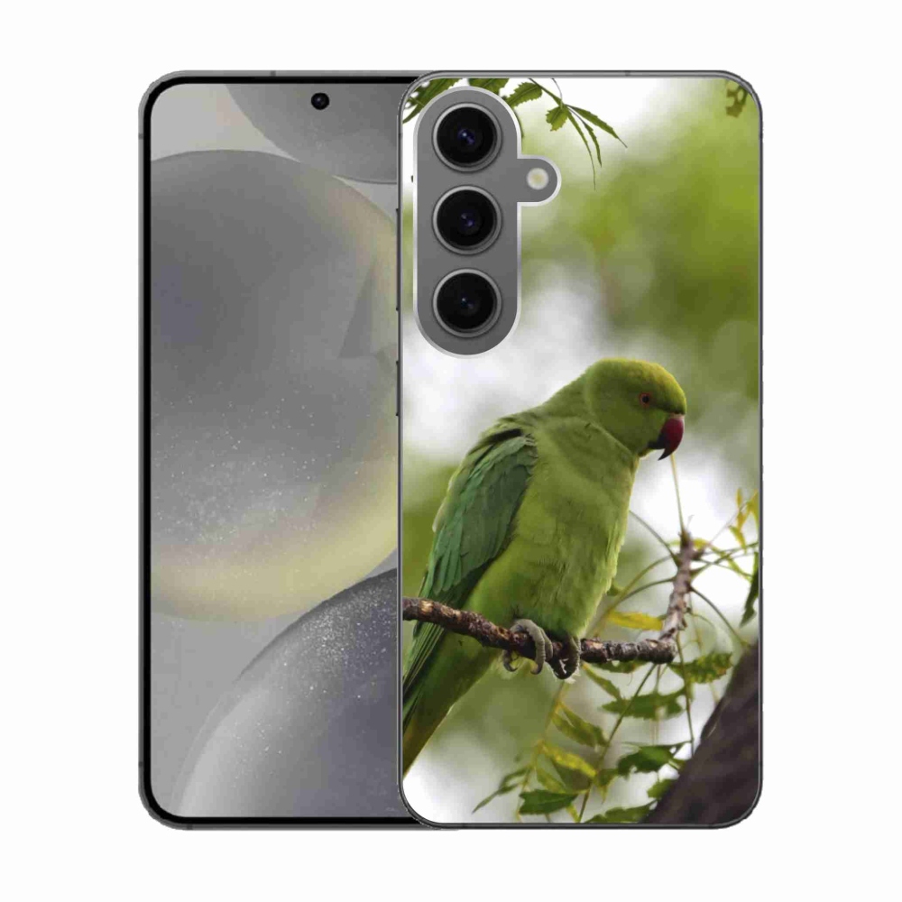 Zselés borítás mmCase Samsung Galaxy S24 készülékhez - zöld papagáj