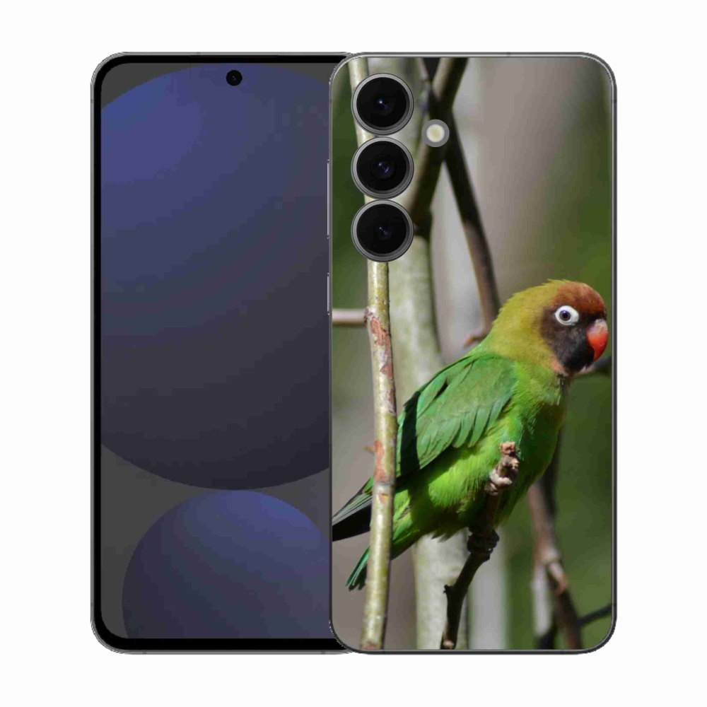 Gél borítás mmCase Samsung Galaxy S25 FE - papagáj agapornis