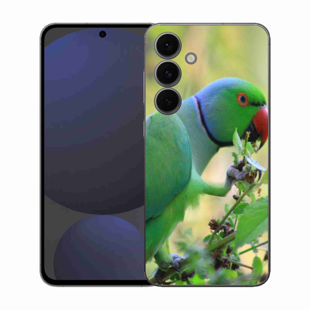 Gél borítás mmCase Samsung Galaxy S25 FE készülékhez - papagáj alexandr