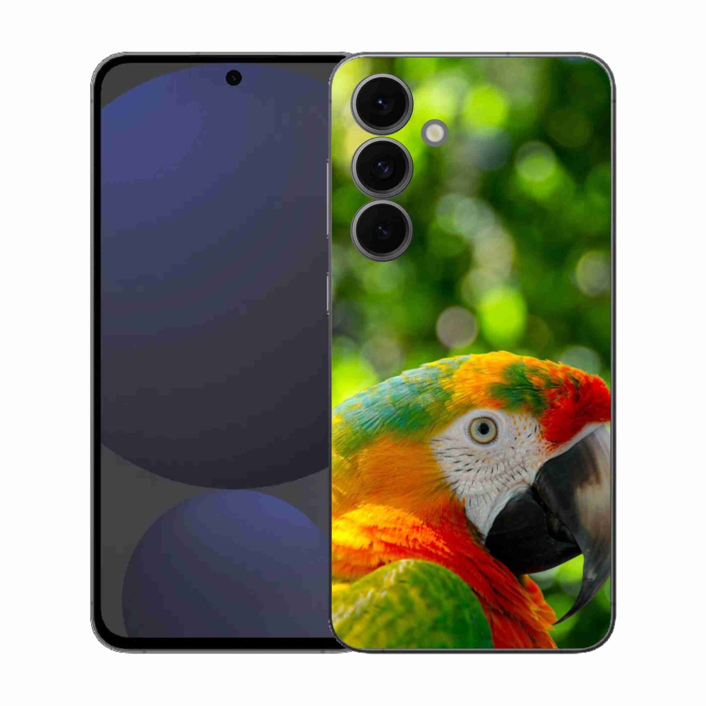 Zselés borítás mmCase Samsung Galaxy S25 FE - papagáj ara 3