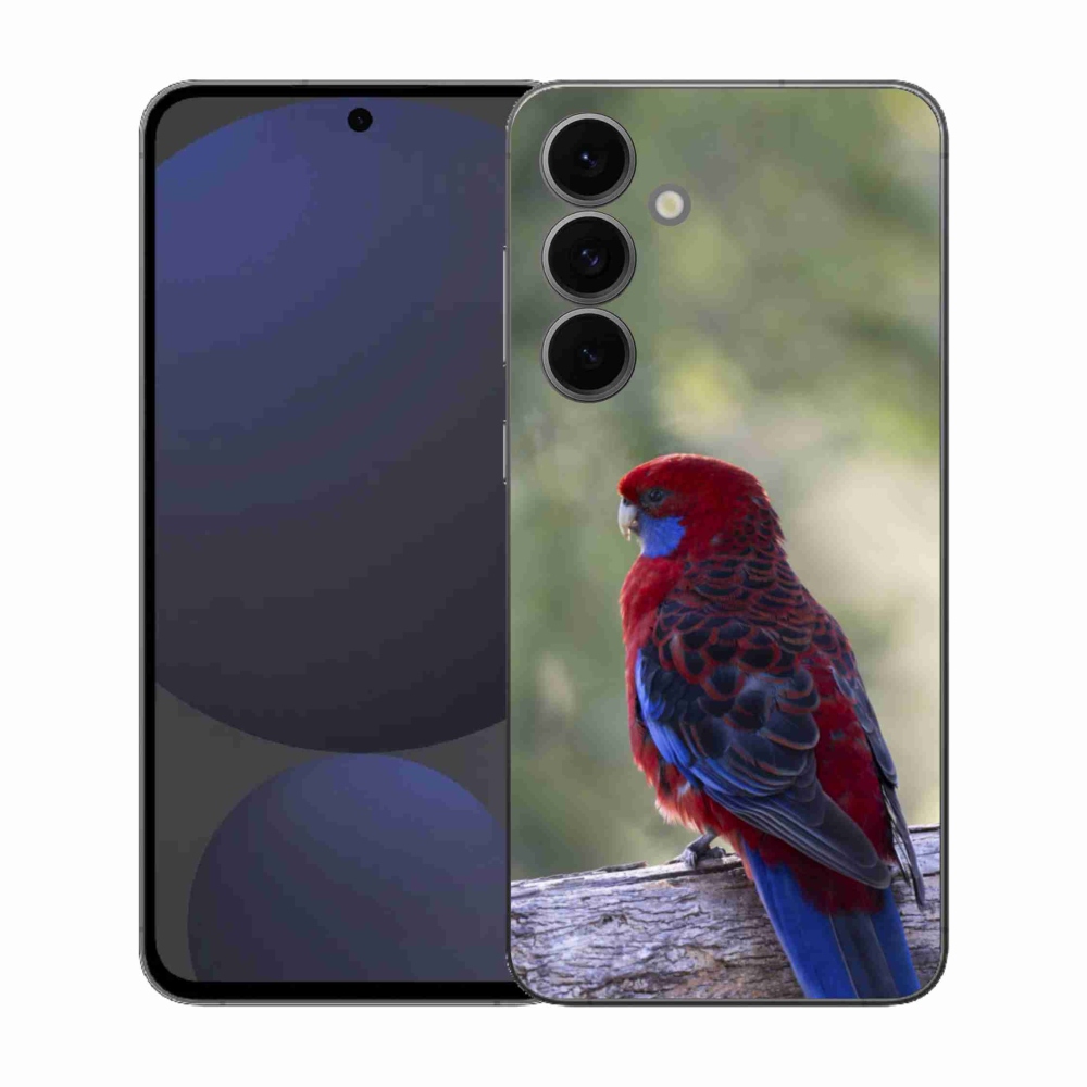 Zselés borítás mmCase Samsung Galaxy S25 FE készülékhez - papagáj rosela