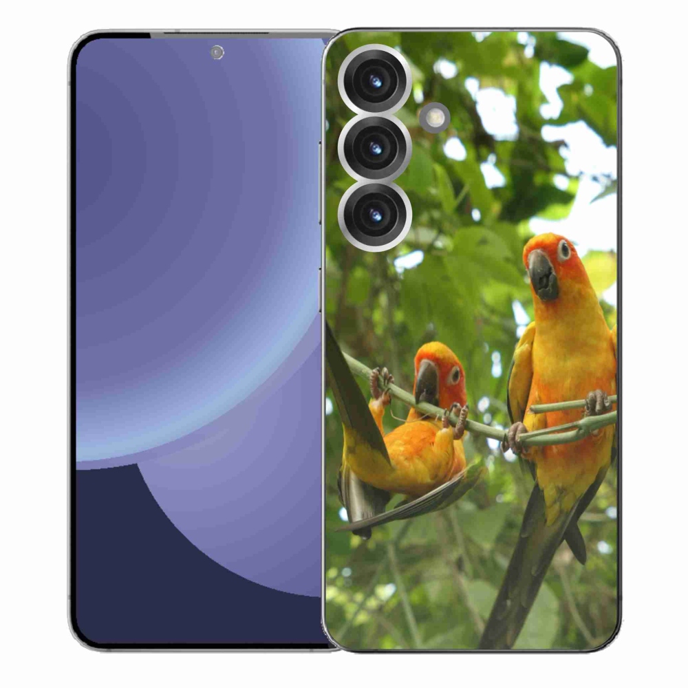 Gél borítás mmCase Samsung Galaxy S25+ - papagájok aratingy