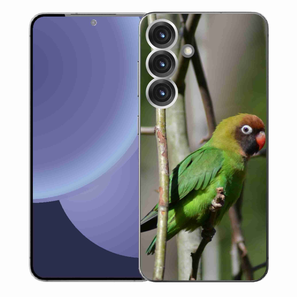 Gél borítás mmCase Samsung Galaxy S25+ készülékhez - papagáj agapornis