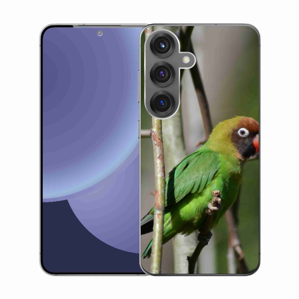 Gél borítás mmCase Samsung Galaxy S25 készülékhez - papagáj agapornis