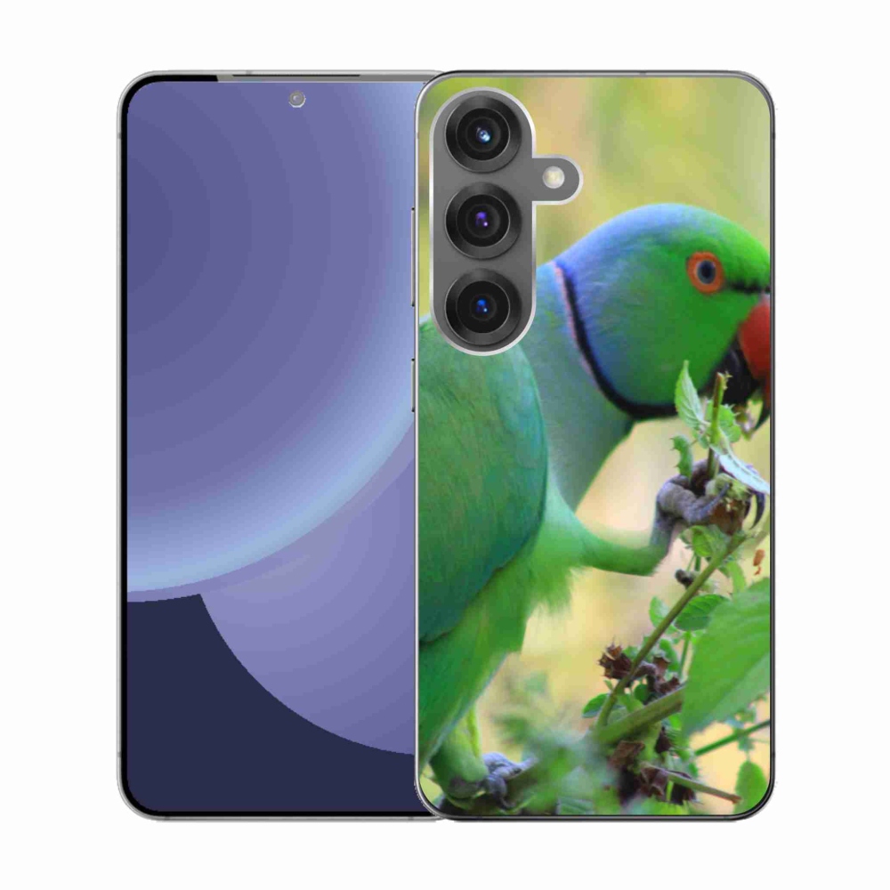 Zselés borítás mmCase Samsung Galaxy S25 készülékhez - papagáj alexandr