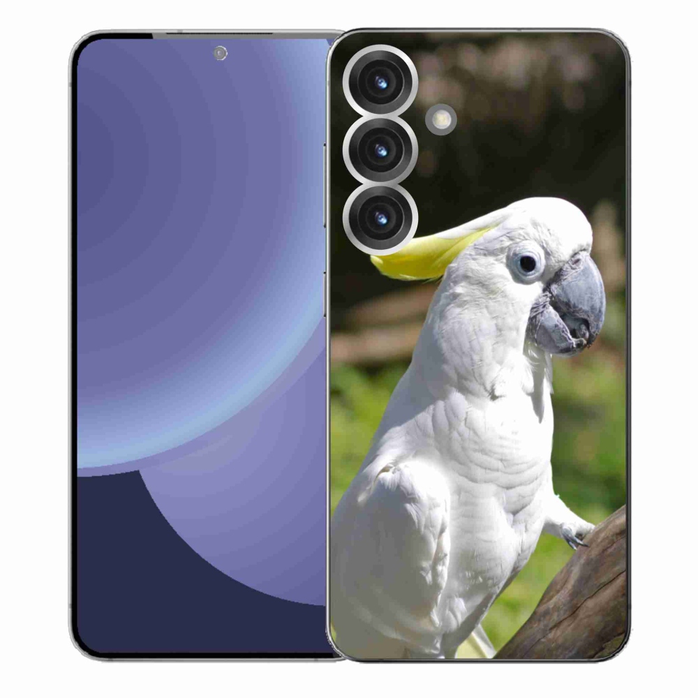 Gél borítás mmCase Samsung Galaxy S25+ készülékhez - papagáj kakadu 2