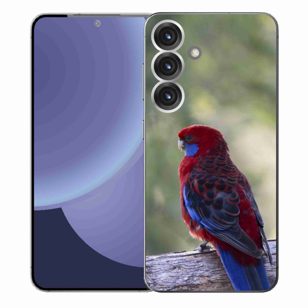 Zselés borítás mmCase Samsung Galaxy S25+ készülékhez - papagáj rosela