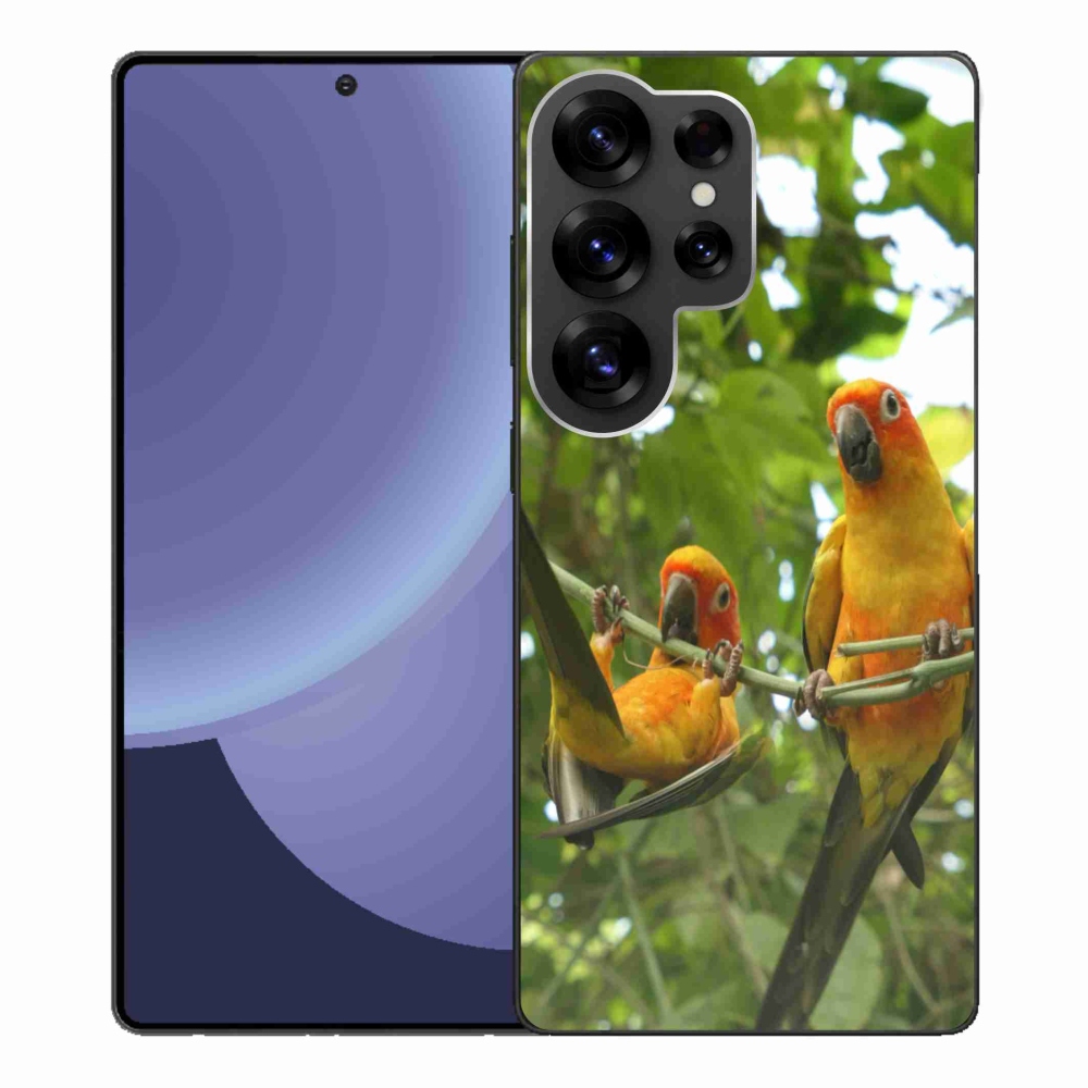 Gél borítás mmCase Samsung Galaxy S25 Ultra - papagájok aratingy