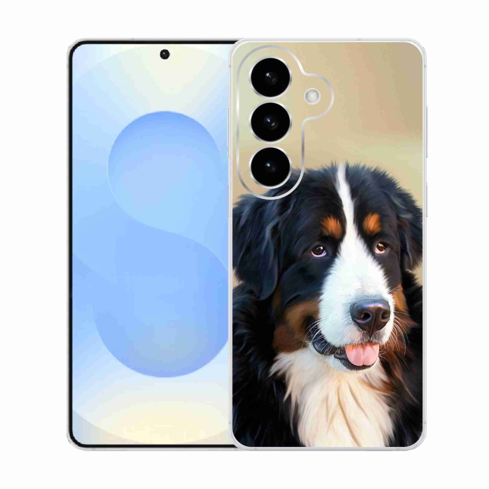 Gél borítás mmCase Samsung Galaxy S26 készülékhez - Berni hegyi kutya