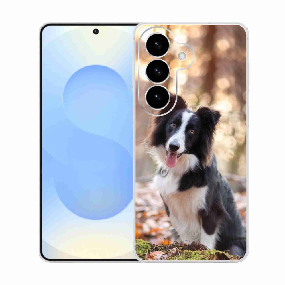 Gél borító mmCase Samsung Galaxy S26 - border colie 1